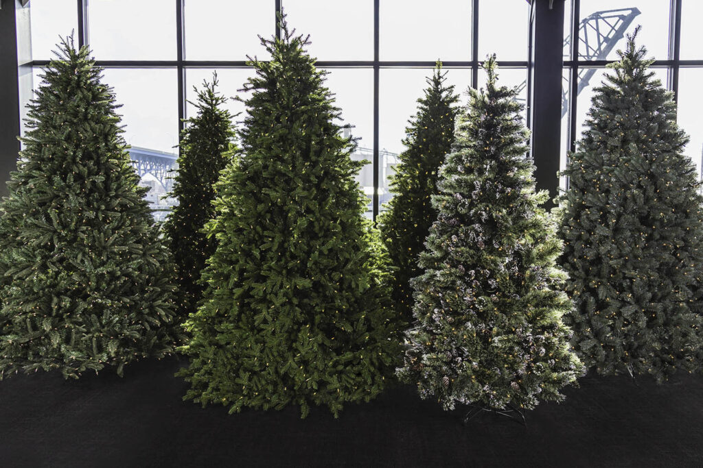 LifeLike Christmas Trees Petitti Garden Centers