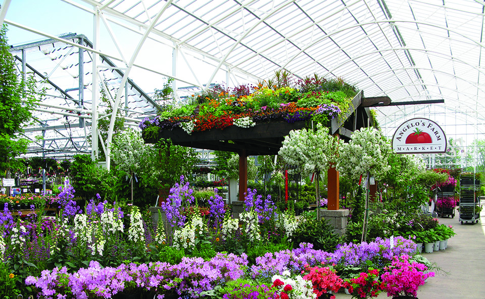Petitti Family History | Petitti Garden Centers