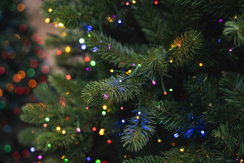 LifeLike Christmas Trees Petitti Garden Centers